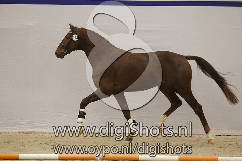 Saint Hugo I&X v. My Blue Hors Santiano