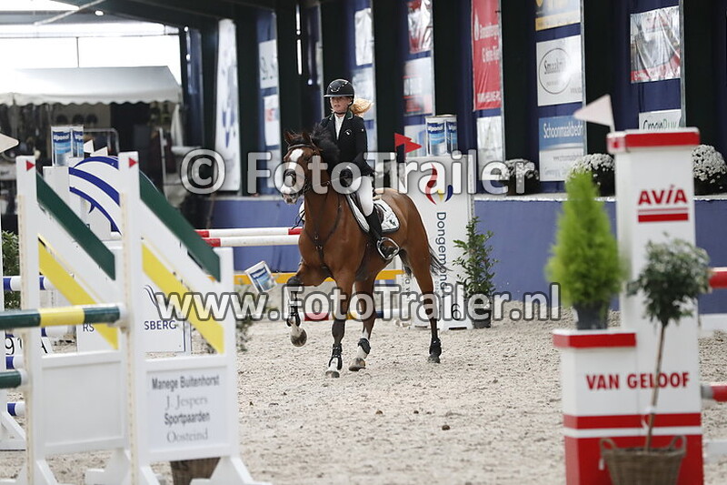 anoek van der pluijm