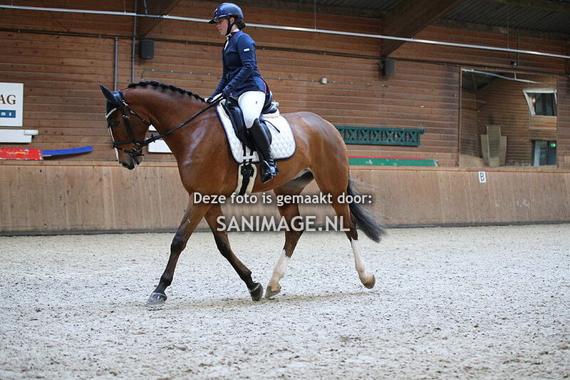 PV Midland Dressuur 19-02-2023 Middag