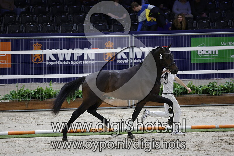 Robinson D v. For Romance - 362