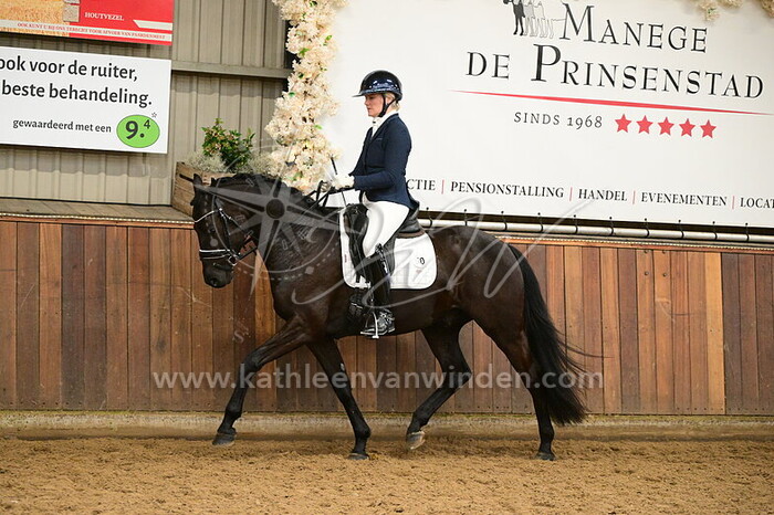 Veerle Schreurs - Moorcroft