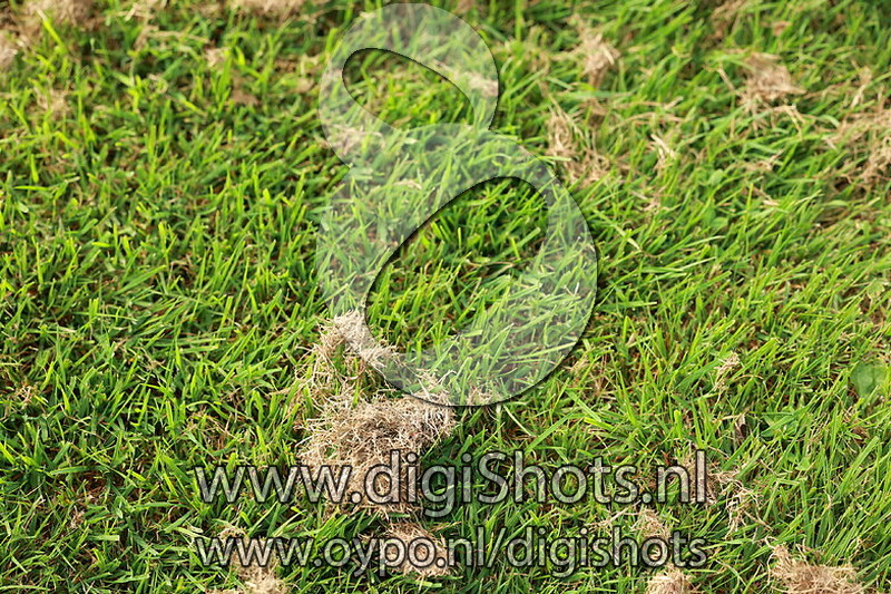 Ring 6 Klasse B cat C