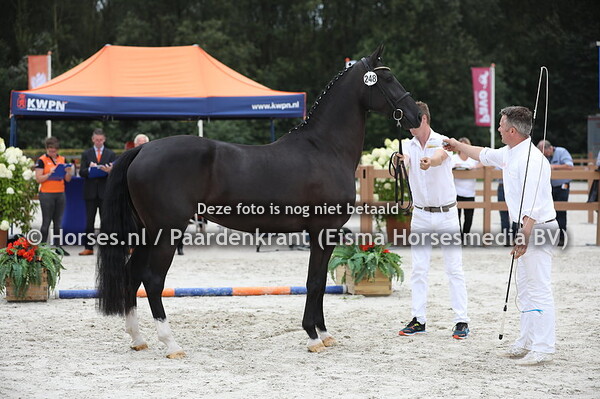 247 Kadolein (Alexandro P x Madolein v. Fabricius)