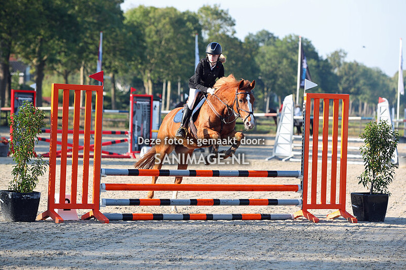 Reigersburgh 16-09-2023 Springen pony's 60 t/m 80 cm (vanaf 8.30 uur)