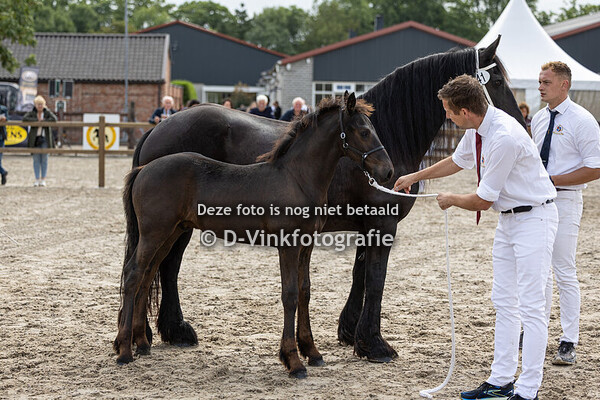 41. Derk fan D'Oever