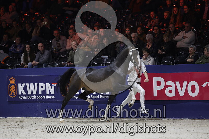 Rocky EVL v. Icellie