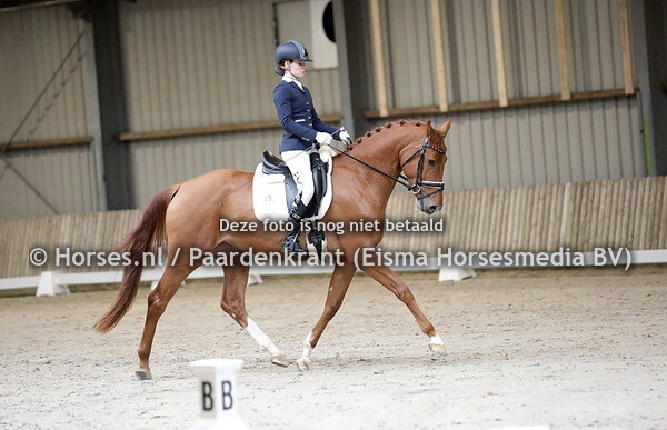 25 Phevilla (Milford VDL c Villianna v. Flemmingh)