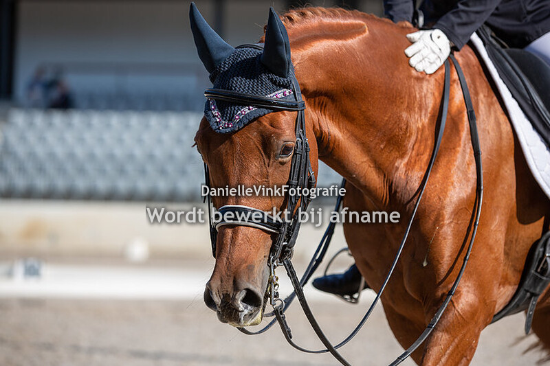 Liane van der Vlies - Grace Kelly