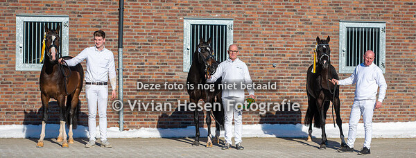 Sectie NWR