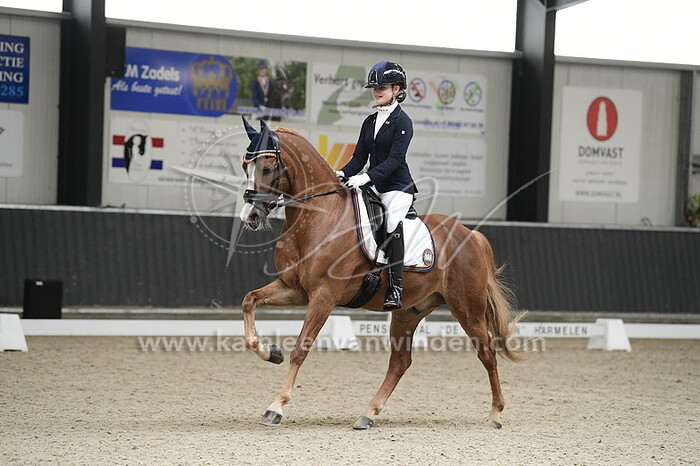 Sanne Glissenaar - Die Wilde Dreizehn