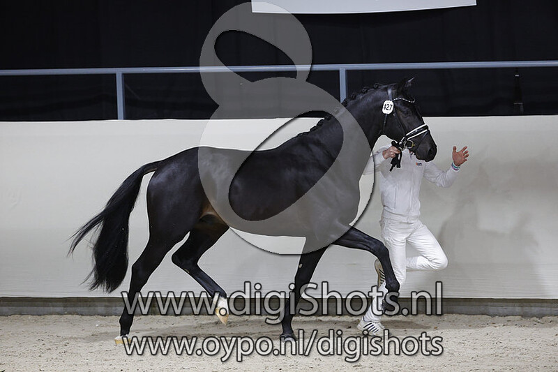 Onedin v. Glock's Toto Jr