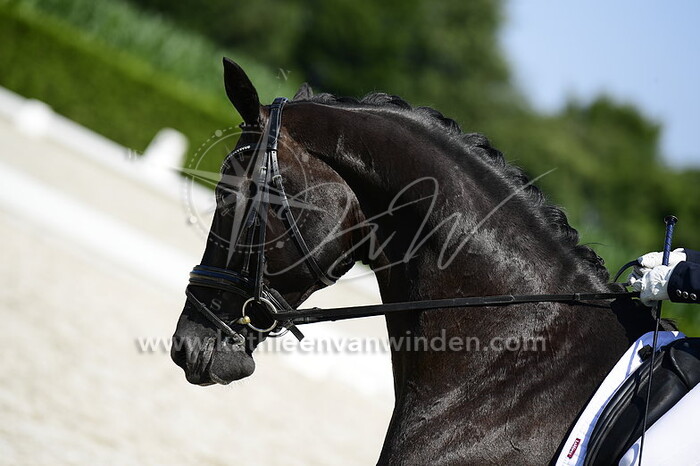 Kerstel Nijland - van Engelen