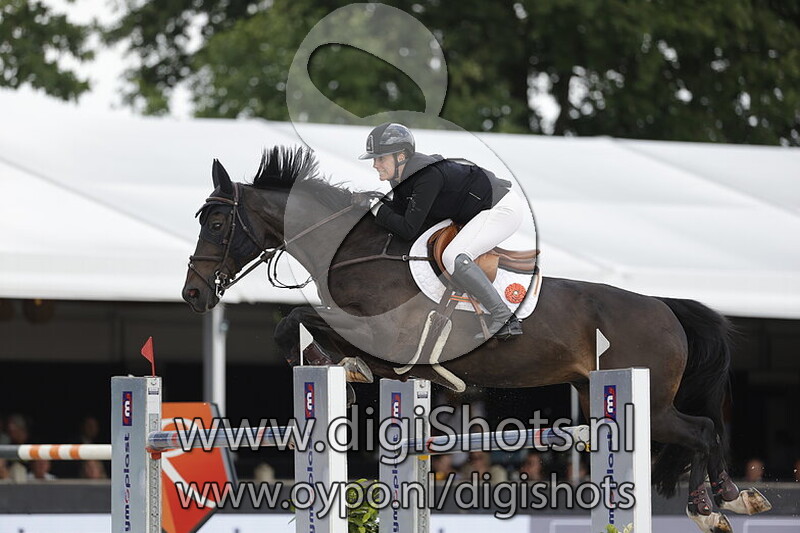 King Kong D'Avifauna