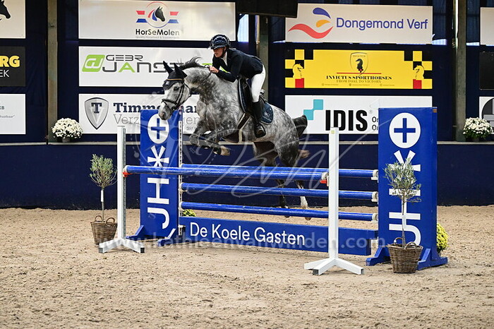 Ellen Zwijnenberg - Precious Gold