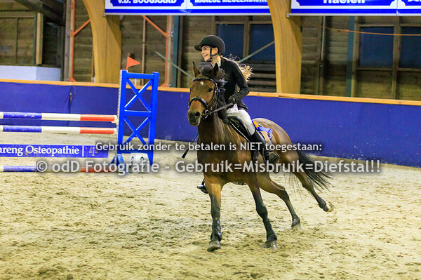 Geldrop Hippique Oefenspringen 80cm 11-10-24