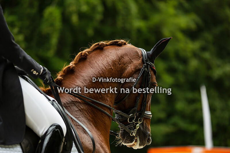 Soraya Brison - Giorgio Armani