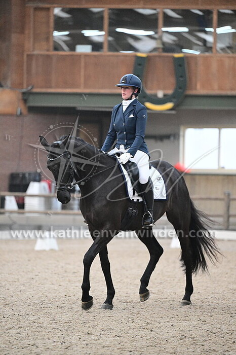 Jennifer Venekamp - Limited Edition