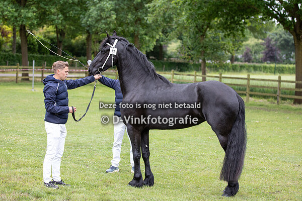 11. Tess van het Binnenveld