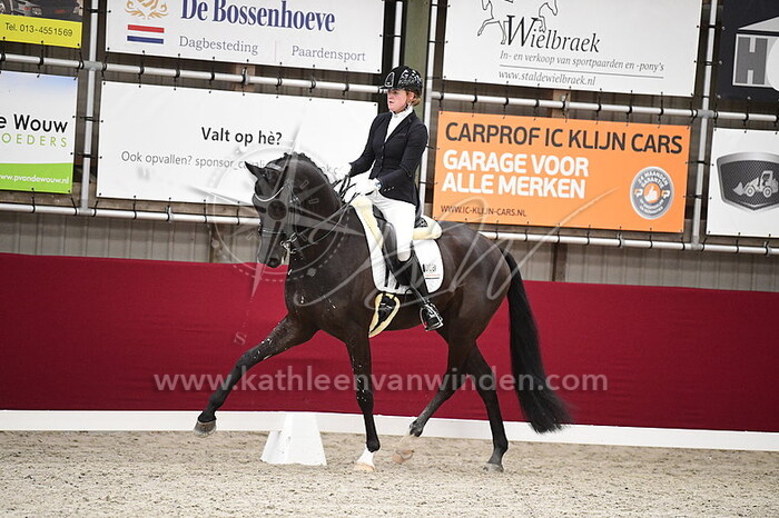 Cynthia Eggenkamp - Noble Romance