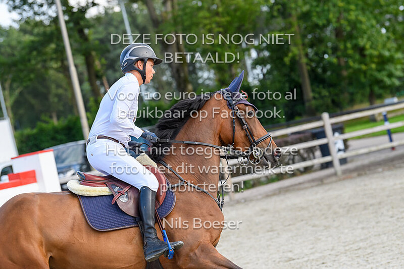 7 Paarden Klasse 110cm