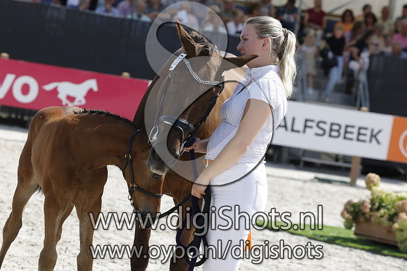 Trendy DB v. Extreme US