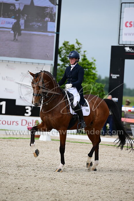 Ninja Chodzynski - Denver