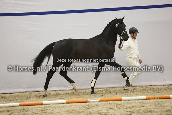 443 (McLaren x Vivaldi) (1)