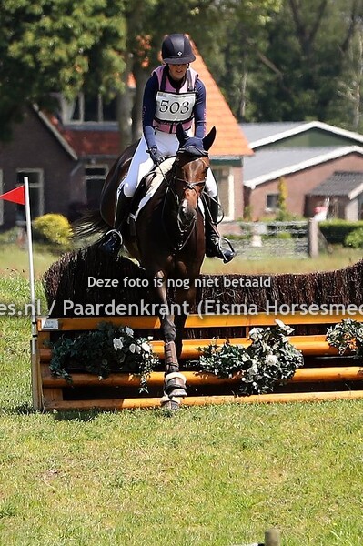 503 Jackpower (Starpower x Singapore x Glennridge) Elsemiek van Roekel