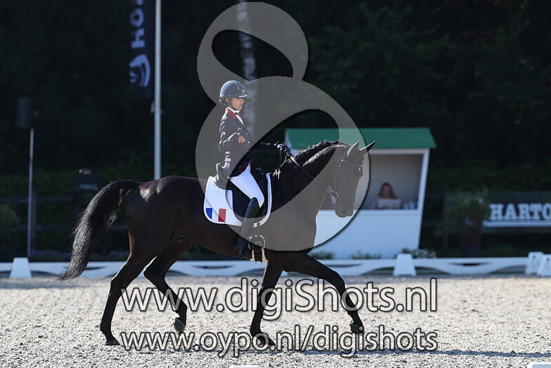 Zeus de Melleret Ifce