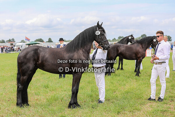 49. Imke van Hoeve 't Raamzicht