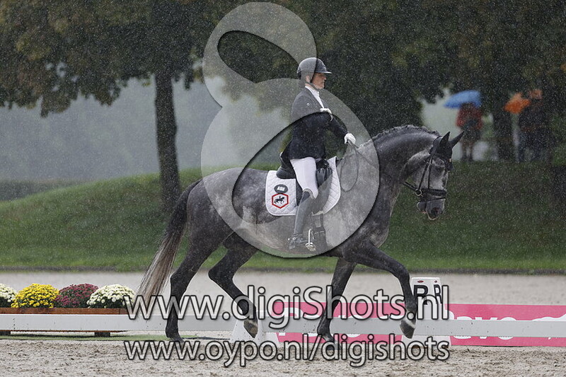 Hexagons power dutch