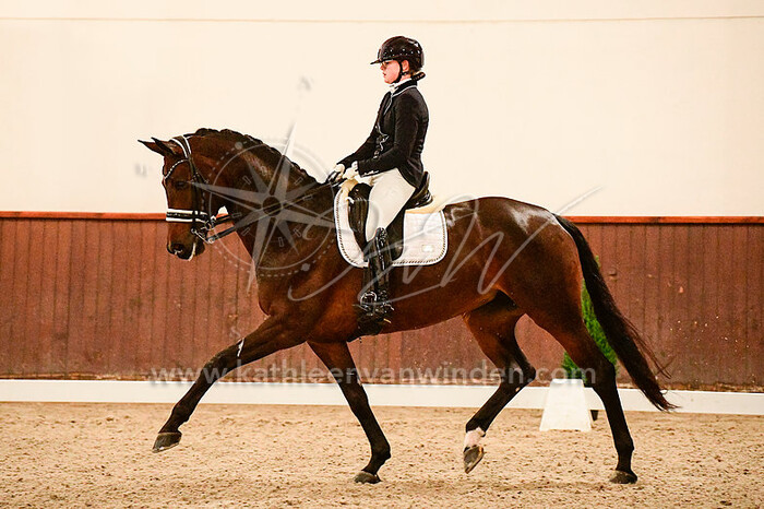 2021-11-14 Hooge Mierde