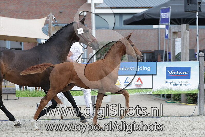 Vitex Rosa v. Vitalis