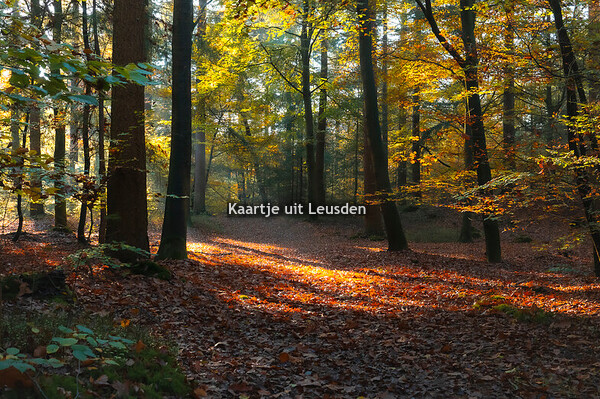Landgoed den Treek - Henschoten Leusden