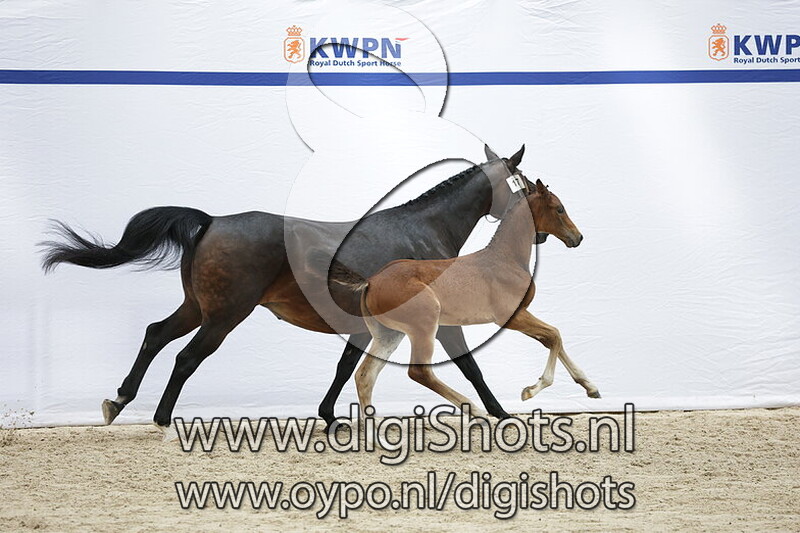 Verstappen LK v. Raikkonen VDL