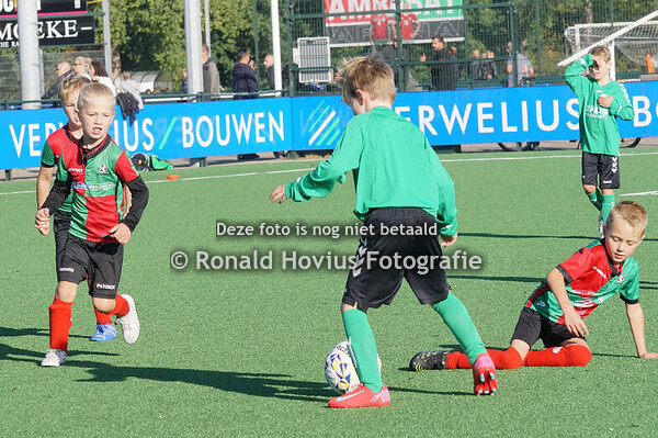 06-09-2025 Zuidvogels JO8-5 - Eemnes JO8-3 