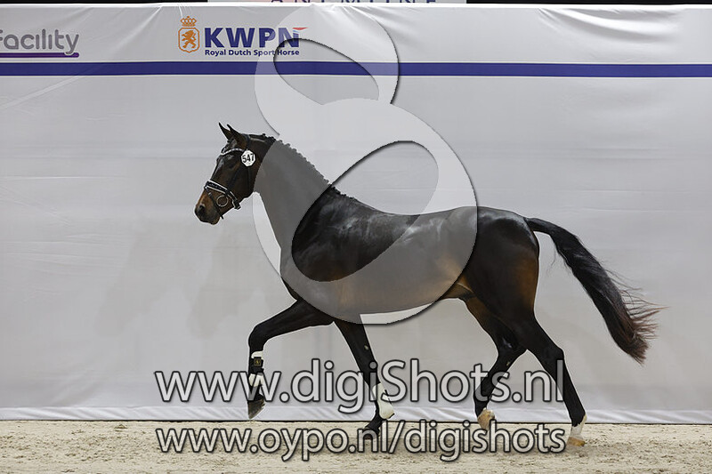 Omega v. Springbank II VH