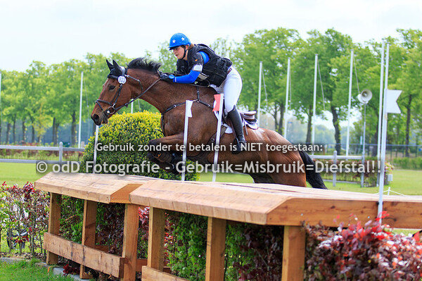 Grandorse Horse Trials CCI2*-s 05-05-19