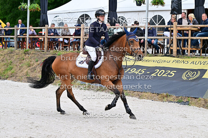 4 Jonge paarden springen 6 jarige. 115 cm