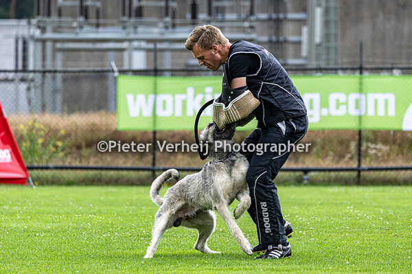 Berry Thomas met Six Bomak v. Eltons home