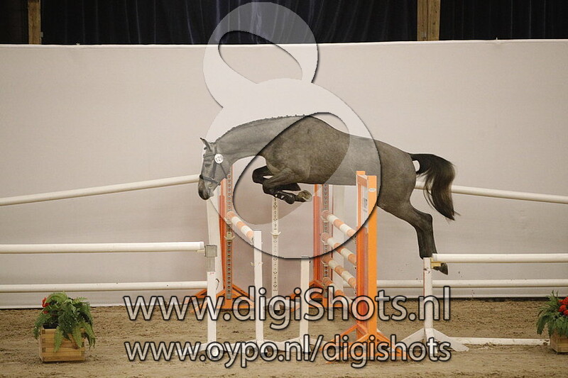 Mamulandro v. Graziano