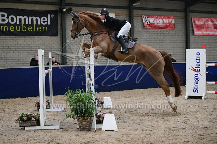 Lisanne Verdonk - Nero