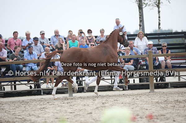 159 Loveley Lady (Grand Galaxy Win x Biona v. Flemmingh)