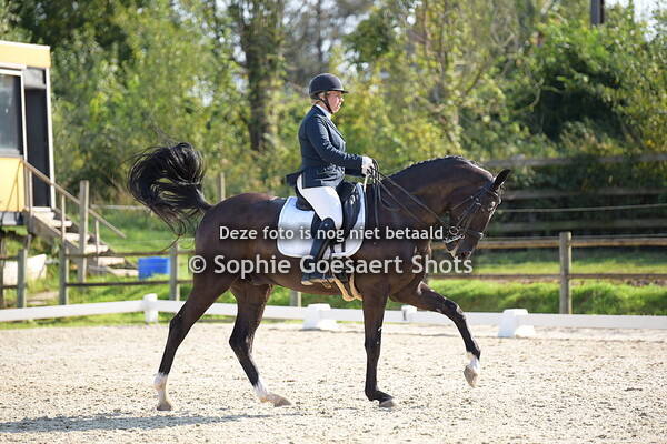 13/09 Dressuur Interclub M&M Grovenhof