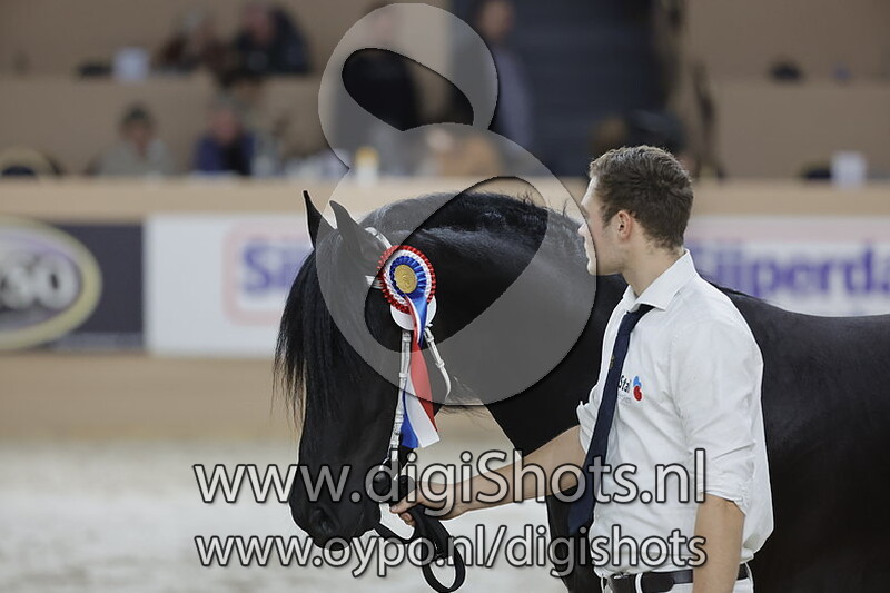 Marijn van de Hofstad v. Jehannes 484 011