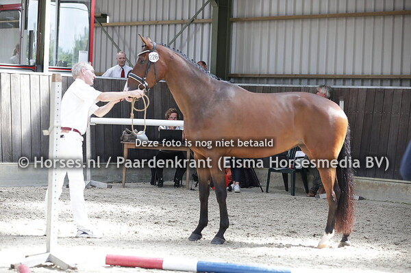 226 Mikal-Zelma (Expression x Cazelma Oscar)
