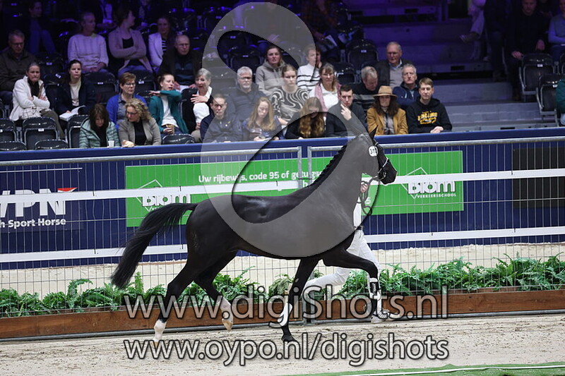 Staccato Ritme II v. Bordeaux