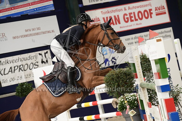 Thalessa de Jong - Melsina