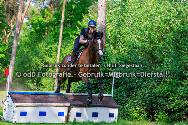 Grandorse Horsetrials Paard B zndr-Dressuur 03-05-25