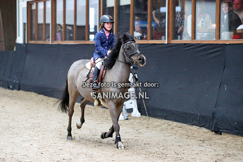 Zilfia's Hoeve Springen pony's 04-02-2024 40/50/60 cm Cat.ABC